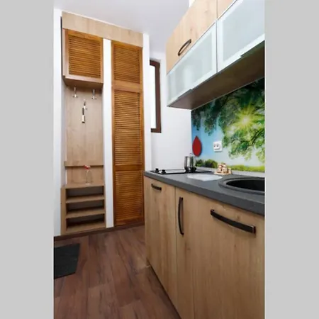 Apartment La Copac Cozy