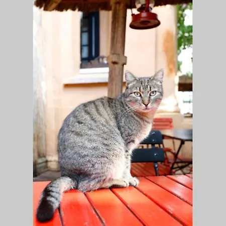 Apartment La Copac Cozy *