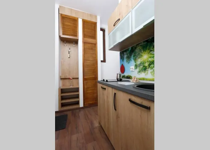 Apartament La Copac Cozy
